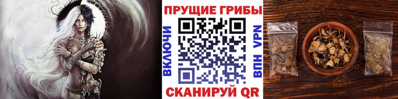 Псилоцибиновые грибы GOLDEN TEACHER  Купить где  Волчанск 